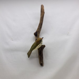 Ovenbird - right facing. Handcrafted, carved  wooden bird, painted bird, home decor, wall decor, Made in USA