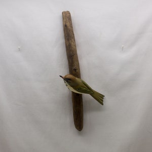 Ovenbird left facing. Handcrafted, carved wooden bird, painted bird, home decor, wall decor, Made in USA image 1