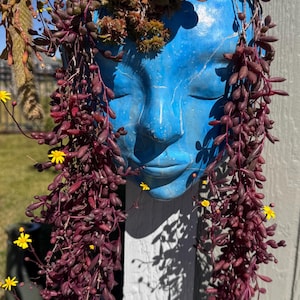 May include: A blue face-shaped planter with closed eyes, filled with various succulents and trailing purple plants. Yellow flowers dot the cascading foliage, creating a unique and artistic display for a garden or patio.