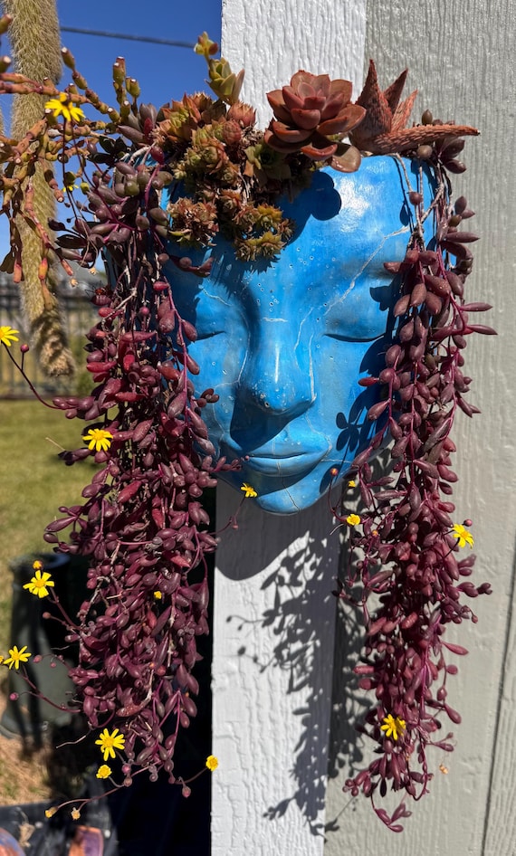 Beautiful ‘Ruby Necklace’ Starters