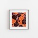 Virginia Tech Map Print - Etsy