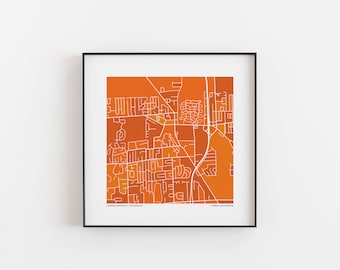 Lourdes University - Map Print