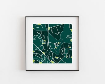 Stevenson University - Map Print