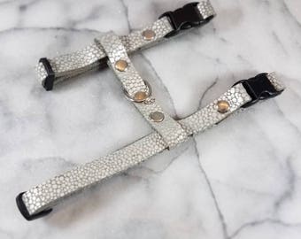 Reclaimed Leather Cat Harness Verstellbares Kätzchen