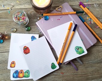 Cartoon Bird memo pad - 40 pages - 4 unique designs - 4.25"x5.5" - mini notepad, memo pad, naughty fun birds.  Lined & Unlined