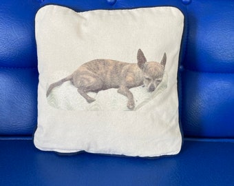 Pet Photo Pillow