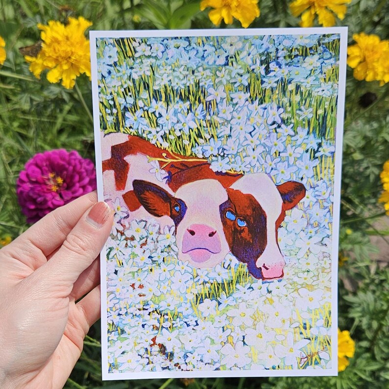 Peut inclure: Un gros plan sur un veau brun et blanc avec un nez rose et des yeux bleus, couch&eacute; dans un champ de fleurs blanches.