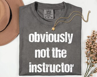 Comfort Colors Sarcastic Humor Shirt: Trendy Women's Tee