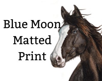 Chincoteague Pony Print - Blue Moon