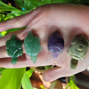 Tiny Jade Turtle Crystal, Green Serpentine Turtle Carving, Crystal Healing Turtle Gift, Small Green Turtle Stone, Tortuga Stone image 2