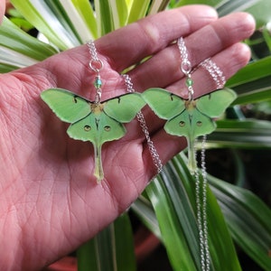 Luna Moth Necklace, Moth Jewelry, Moth gift, Magical Luna Moth Necklace, Green Luna Moth Jewelry, Luna Moth Gift, Cute Luna Moth Necklace