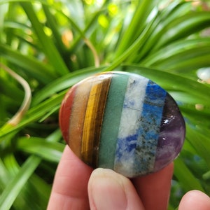 May include: A round, flat, multi-colored stone with seven layers of different colored crystals. The stone is held in a hand, with green foliage in the background.