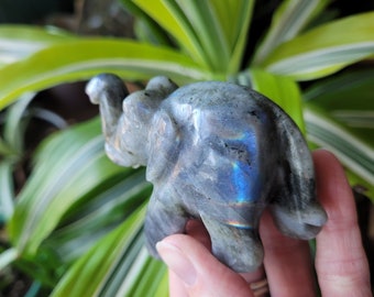 Labradorite Elephant Carving, Cute Stone Elephant Gift, Labradorite Crystal Elephant, Lucky Labradorite Elephant Crystal, Elephant Gift