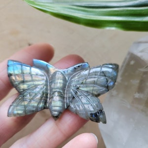 Labradorite Crystal Butterfly, Butterfly Carved Labradorite Gem, Labradorite Stone Mariposa, Rainbow Flash Labradorite Stone Butterfly Gift