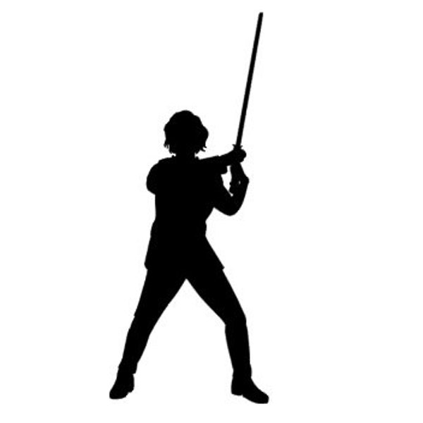 Star Wars Ben Solo Jedi Silhouette Vinyl Decal- Black, Red, Silver, White Disney Kylo Ren Han Solo BB8 R2D2 Leia C3PO Jedi Darth Vader