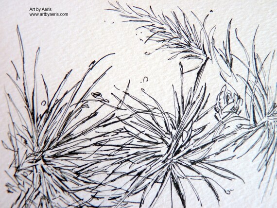 Pine Needles Drawing
