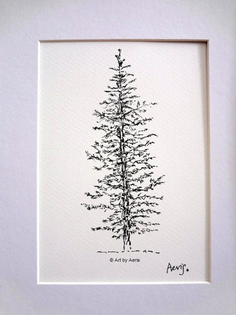 Evergreen Pine Tree Art Evergreen Tree Print Woodland Tree Etsy