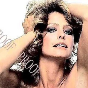Farrah Fawcett Charlie&#39;s Angels Art Print 12x18 LE 50