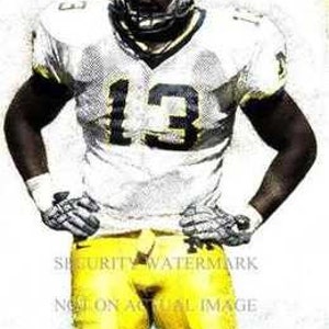 Larry Stevens Univ. of Michigan Art Print only 50 avail