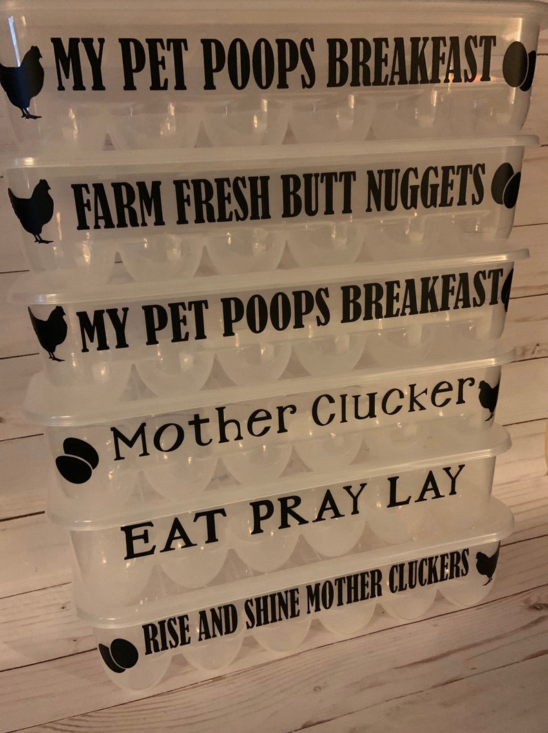 Plastic egg container with lid funny saying reusable egg etsy