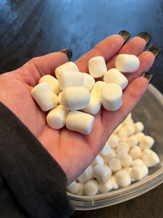 Faux Mini Marshmallow White/fake Marshmallow Set of 15/fake Food/marshmallow  Cabochons/hot Chocolate Topping Fake Bake/craft Marshmallows 