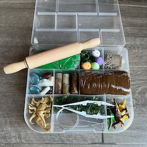 Dinosaur Sensory Dough Kit/Holiday Dinosaur Dough Activity/Sensory Dinosaur Dough Gift Box for Kids/Dinosaur Sensory Dough Kit/Sensory Play