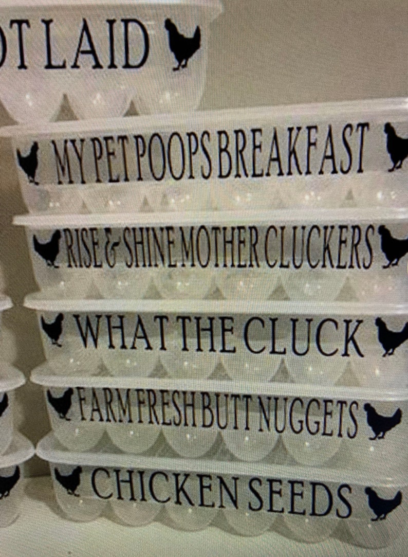 Plastic egg container with lid funny saying reusable egg etsy