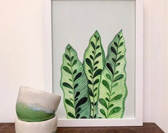 Calathea print A4