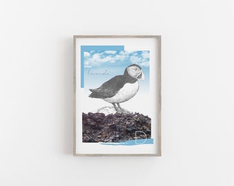 Iceland, Puffin // Lundi A4 Print | Made in Iceland