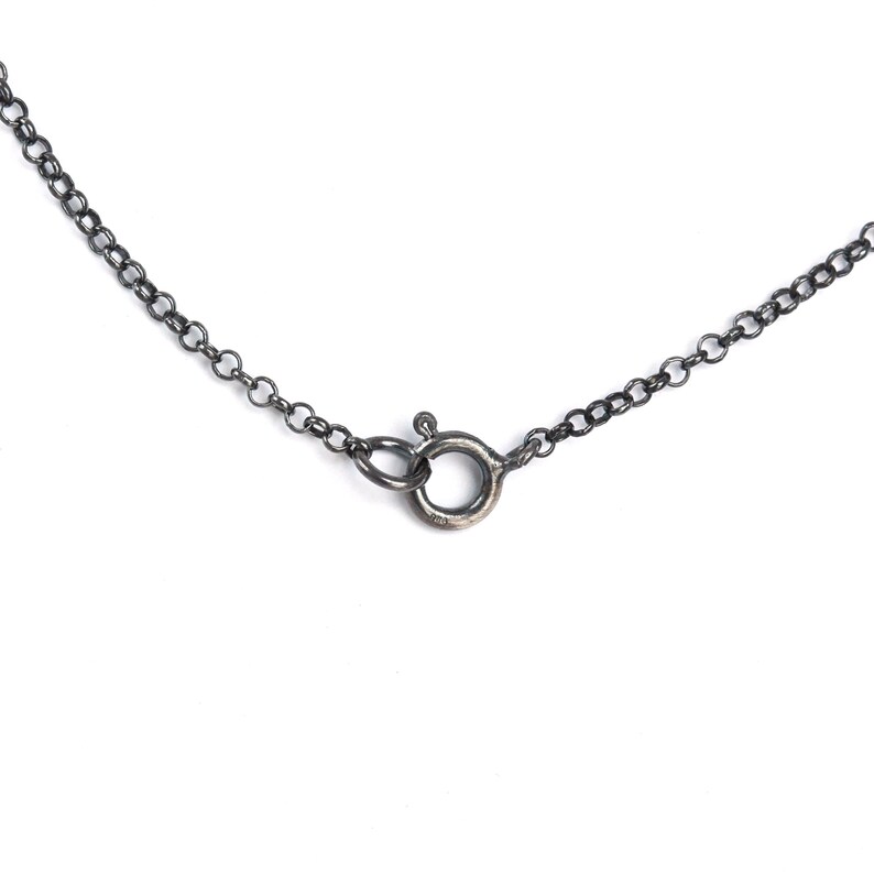 May include: A silver chain necklace with a lobster clasp closure.