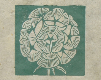 Scabious seed head mini linocut print