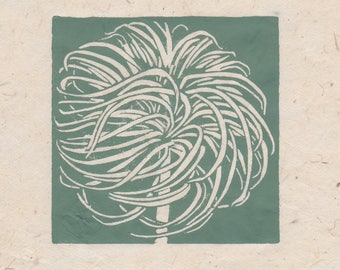 Impression mini linogravure graine de clématite