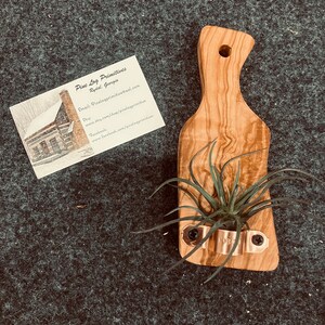 Colgador de plantas de aire con planta viva