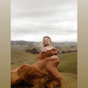 (Preorder 6-8 week) chiffon tan brown ships off those shoulders dress (sheer)