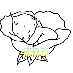 Kewpie Sleeping Baby Rose Flower  Cartoon PNG Vector