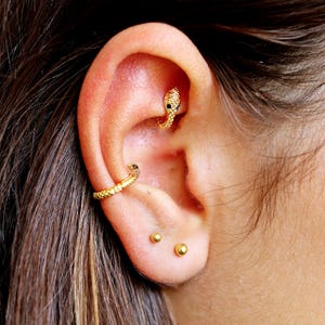 Piercing Rook a forma di serpente, orecchino Rook in oro, piccolo gioiello Rook, orecchini a forma di serpente, gioielli Rook Piercing, cerchio Rook, orecchini a cerchio da 6 mm, 8 mm e 10 mm
