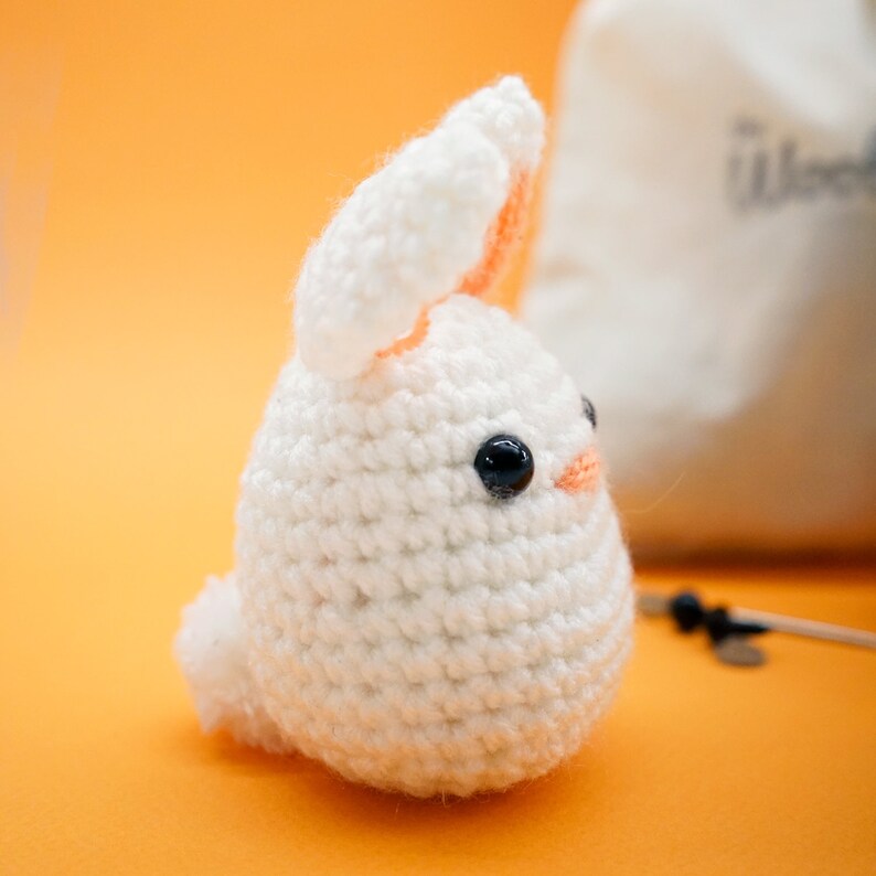 Learn To Crochet Kit