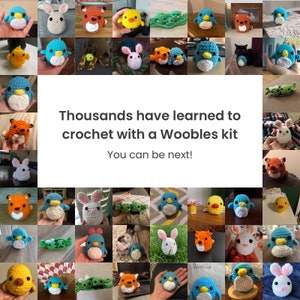 Beginner Learn to Crochet Kit Penguin by the Woobles Easy - Etsy