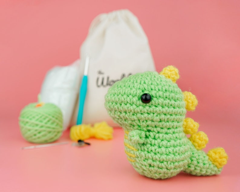 Beginner Crochet Kit Dinosaurs Learn How to Crochet Kit Easy Starter  Crochet Kit Amigurumi Kit DIY Craft Kit Gift 