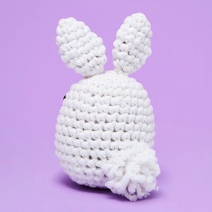 Beginner Learn to Crochet Kit Bunny Rabbit The Woobles Easy Crochet Starter Kit Crochet Plushie Kit Amigurumi Kit DIY Craft Kit Gift image 7