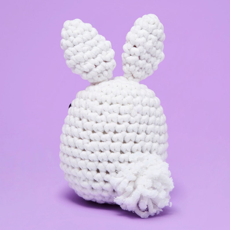 Beginner Learn to Crochet Kit Bunny Rabbit The Woobles Easy Crochet Starter Kit Crochet Plushie Kit Amigurumi Kit DIY Craft Kit Gift image 7