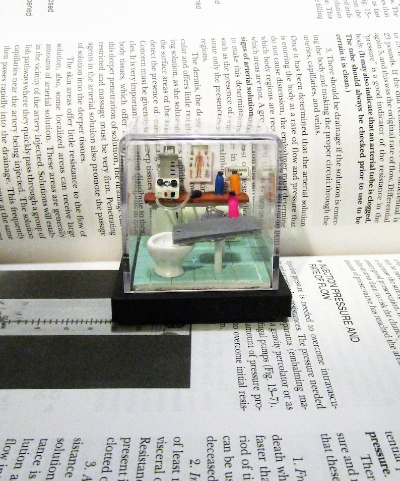 May include: A miniature diorama of a bathroom with a toilet, sink, and a table with various medical supplies. The diorama is encased in a clear plastic cube with a black base. The text "Post in case of emergency" is visible on a red and white sign.