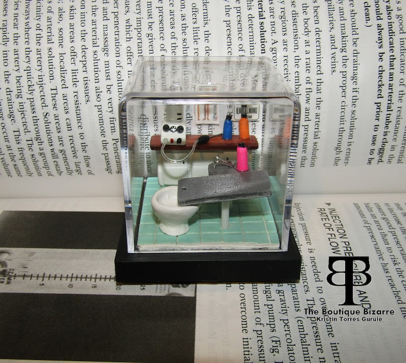 May include: A miniature bathroom scene in a clear acrylic box with a white toilet, a gray tiled floor, and a small wooden shelf with various miniature bottles. The box has a black base.