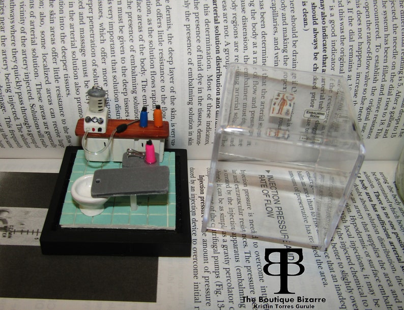May include: A miniature model of a medical embalming room with a small toilet, a table with a small embalming machine, and a clear plastic box with a diagram of the human body and the text "Embalming Diagram" on the box.