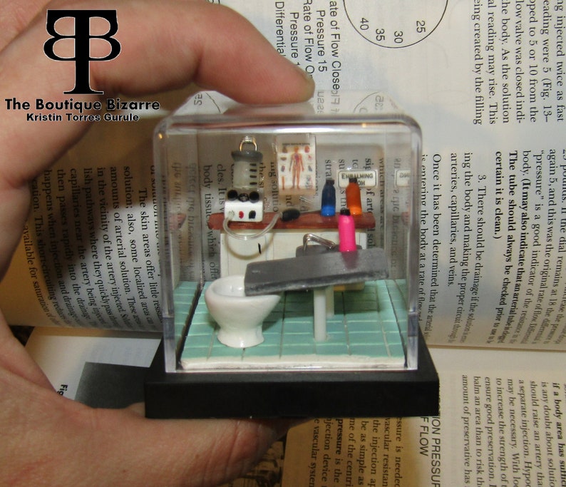 May include: A miniature clear plastic box with a black frame contains a miniature medical examination room. The room includes a miniature examination table, a miniature sink, and a miniature medical cart with a miniature IV bag and other medical supplies. The miniature room is sitting on a book with the text "The Boutique Bizarre" and "Kristin Torres Gurule".