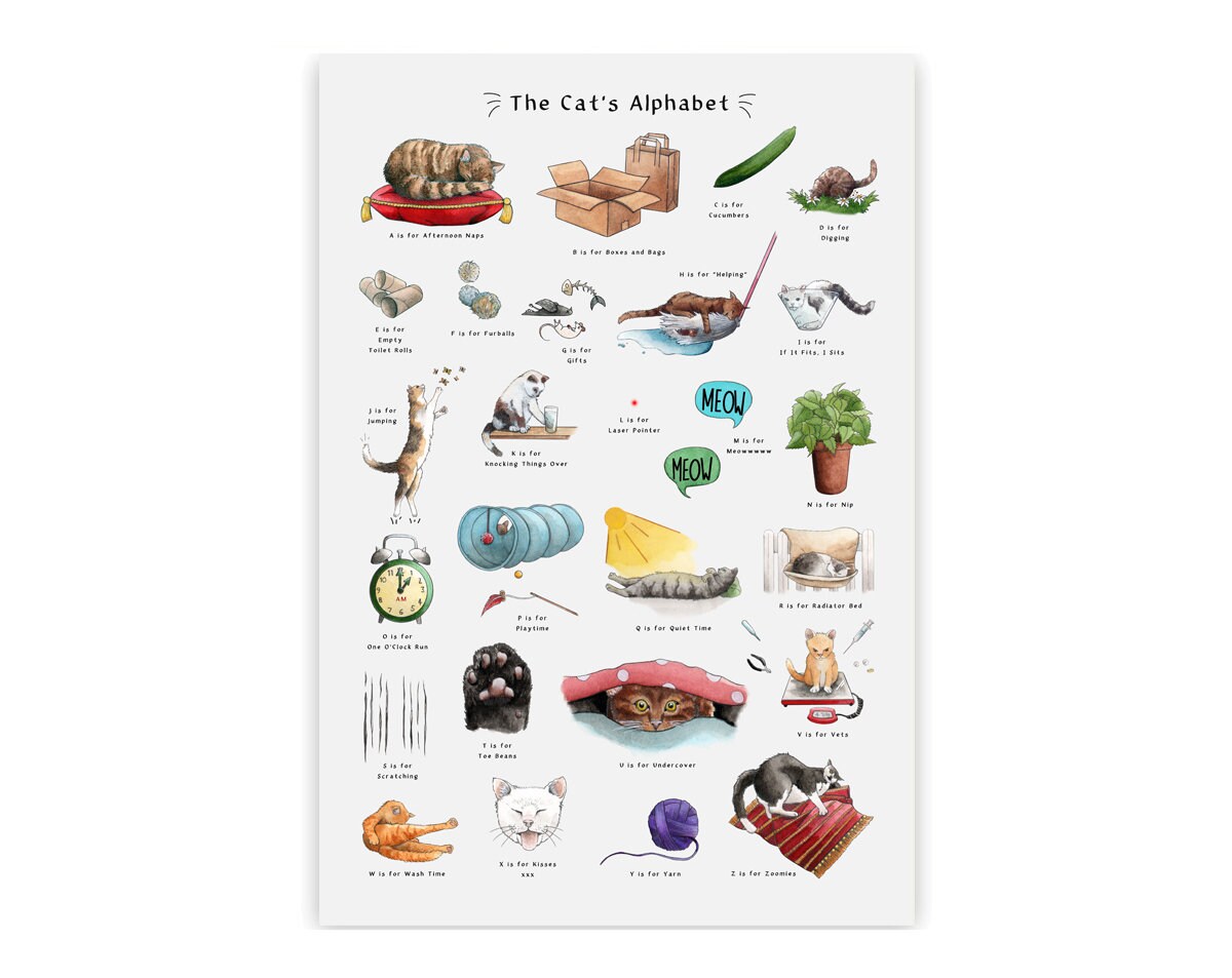The Cat's Alphabet Signed Art Print. Cat Wall Art, Cat Gifts for