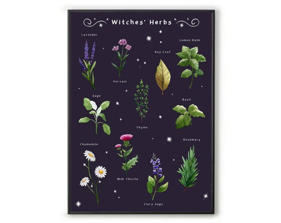 A3 Witches' Herbs Art Print. Witchy Home Decor. Witch Wall Art With a  Witchcraft Design. Wicca Herbs Art Print, Wiccan Home Decor Wall Print 