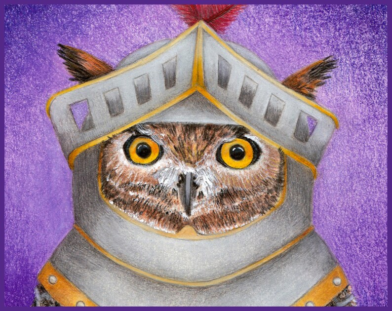 book knight owl book knight owl