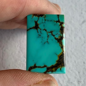 May include: A rectangular turquoise gemstone with a polished surface. The stone features a vibrant blue-green hue with intricate dark brown veining patterns throughout. The gemstone is held between two fingers.