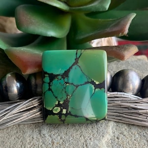 May include: A square, polished turquoise stone with black veining, set against a backdrop of a succulent plant and silver beads. The stone's vibrant green hue is contrasted by the dark veins, creating a striking visual effect. The beads add a touch of elegance.
